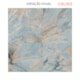 Porcelanato Ceusa Galaxya Og Natural 100x100cm Retificado - 0f7e977f-fe4c-47e1-af02-74d8bae1167f