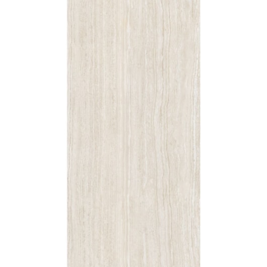 Porcelanato Ceusa Navona Ofw Natural 58,4x117cm Retificado - Imagem principal - 09898ae3-e674-4d07-be8b-ca229954e61c