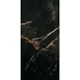 Porcelanato Ceusa Negresco Acetinado 58,8x119cm Retificado - 5307b8d9-e5c0-4909-8156-ffcdf0318a91