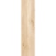 Porcelanato Ceusa Pioppo Acetinado 20,2x86,5cm Retificado - 50c7a7b9-7acb-44dc-bc71-2c055829cae7