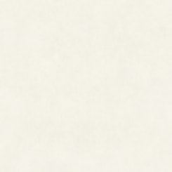 Porcelanato Ceusa Urbe Wh Natural 120x120cm Retificado