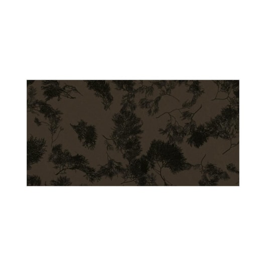 Porcelanato Damme Amazon Bronzo DDG 62x121cm Retificado - Imagem principal - c19f71fc-3cf4-4fa8-a2ee-b67e08c0e2f1