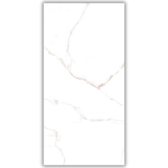Porcelanato Damme Branco Pigues Polido 62x121cm Retificado
