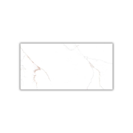 Porcelanato Damme Branco Pigues Polido 62x121cm Retificado - Imagem principal - 0c1a03e6-f7c0-41ae-a3a7-3331387e3ecd