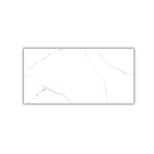 Porcelanato Damme Branco Pigues Polido 62x121cm Retificado - Imagem principal - 436cd666-51de-4542-8878-0f4a6bf3316e