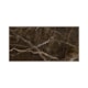 Porcelanato Damme Elegant Brown Polido 62x121cm Retificado - c09a5fdd-6f9f-4843-b3e3-c4c619fe5072