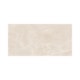Porcelanato Damme Essence Clear Polido 62x121cm Retificado - b91c81aa-fc31-4108-a9ef-593c5446811f