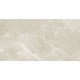 Porcelanato Delta Fuji Sand Pedra Polido 63x120cm Retificado  - 41dc9bd5-ac0d-4090-af8f-5a9f0954dd76