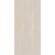 Porcelanato Delta Romano Avena Acetinado 60x120cm Retificado - fcd9362a-6f1a-4ccb-ad3c-8c7f6f3fed21