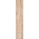 Porcelanato Eliane Bosco Mel Externo 19,7x120cm Retificado - 0b61845d-ceac-4402-9a8b-5a101d3b3a50