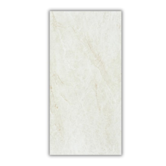 Porcelanato Eliane Mahal Cristal Acetinado 60x120cm Retificado - Imagem principal - 1119f493-59f9-45cd-b7b5-1e4ec4cb30a2