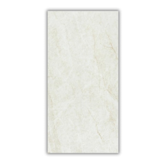 Porcelanato Eliane Mahal Cristal Acetinado 60x120cm Retificado - Imagem principal - 6ab27ad3-5260-4f18-b972-ce2b28ea5b6f