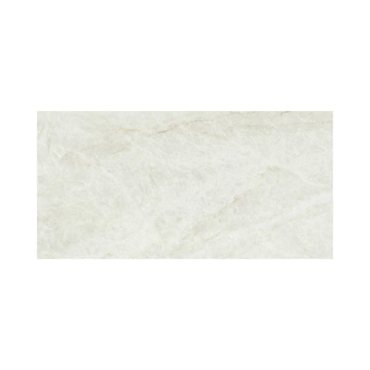 Porcelanato Eliane Mahal Cristal Polido 30x60cm Retificado - Imagem principal - a0fd05ce-ffd8-4047-b2a3-10de8667f507