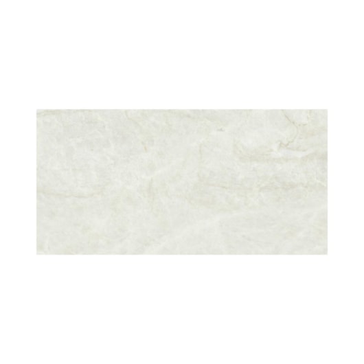 Porcelanato Eliane Mahal Cristal Polido 30x60cm Retificado - Imagem principal - d97d0c49-987a-4aef-8eea-ec41b4f5d199