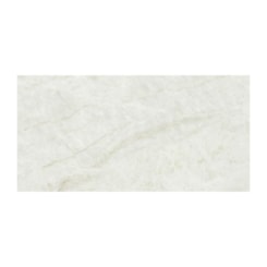 Porcelanato Eliane Mahal Cristal Polido 30x60cm Retificado