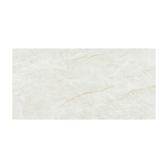 Porcelanato Eliane Mahal Cristal Polido 60x120cm Retificado