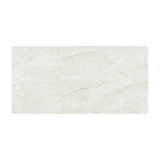 Porcelanato Eliane Mahal Cristal Polido 60x120cm Retificado - Imagem principal - d0718280-e3b9-48d0-8ac3-7ac2e513ad04