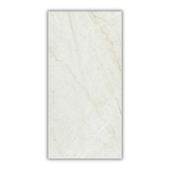 Porcelanato Eliane Mahal Cristal Polido 60x120cm Retificado