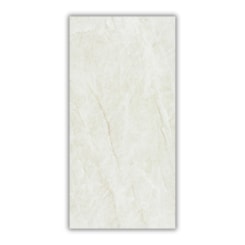 Porcelanato Eliane Mahal Cristal Polido 60x120cm Retificado