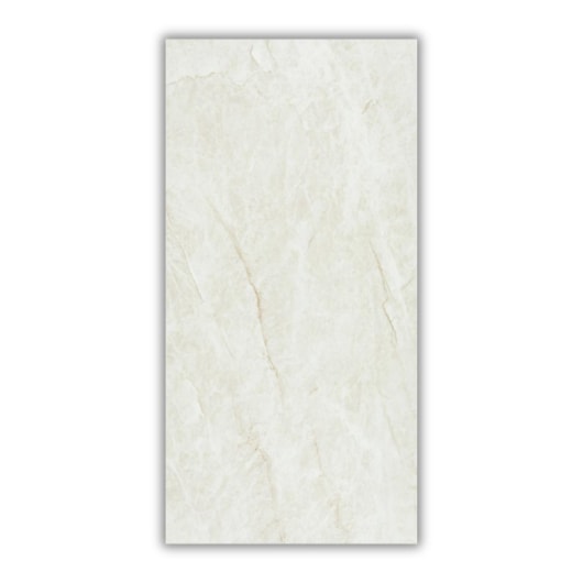 Porcelanato Eliane Mahal Cristal Polido 60x120cm Retificado - Imagem principal - 93ddfa60-f8fd-4cd7-a3fb-ae1a6c09ce50
