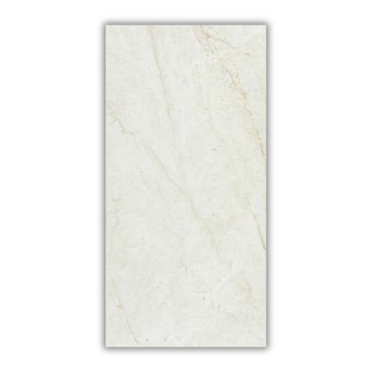 Porcelanato Eliane Mahal Cristal Polido 60x120cm Retificado - Imagem principal - 1d41126e-355c-4de6-b09a-0c5c4e4b70c2