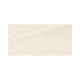 Porcelanato Eliane Mahal Marfim Polido 30x60cm Retificado - 2b3db317-cd50-4c03-8be9-dbc88ffdd026
