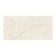 Porcelanato Eliane Mahal Marfim Polido 30x60cm Retificado - a4aa4ff1-15a9-4f5a-a3f5-ec6dcde10c9e