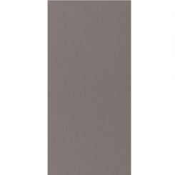 Porcelanato Eliane Minimum Concreto Polido 30x60cm Retificado