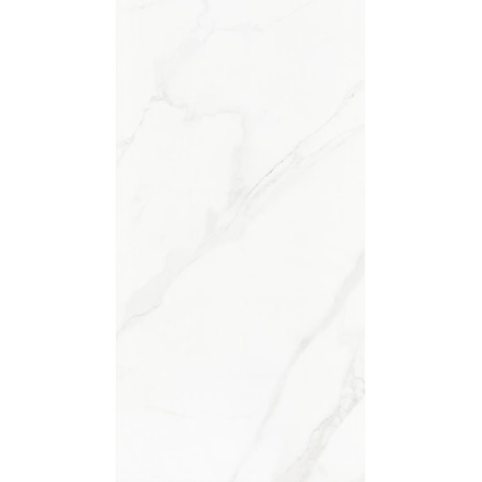 Porcelanato Eliane Mont Blanc Polido 60x120cm Retificado - Imagem principal - 1a263dae-581b-4b9a-80a5-fd32f342f323