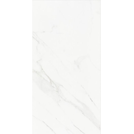 Porcelanato Eliane Mont Blanc Polido 60x120cm Retificado - Imagem principal - 7b8b5659-9e12-4884-88ec-aad2642d937a