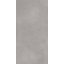 Porcelanato  Eliane  Munari Concreto Acetinado 60X120Cm Retificado