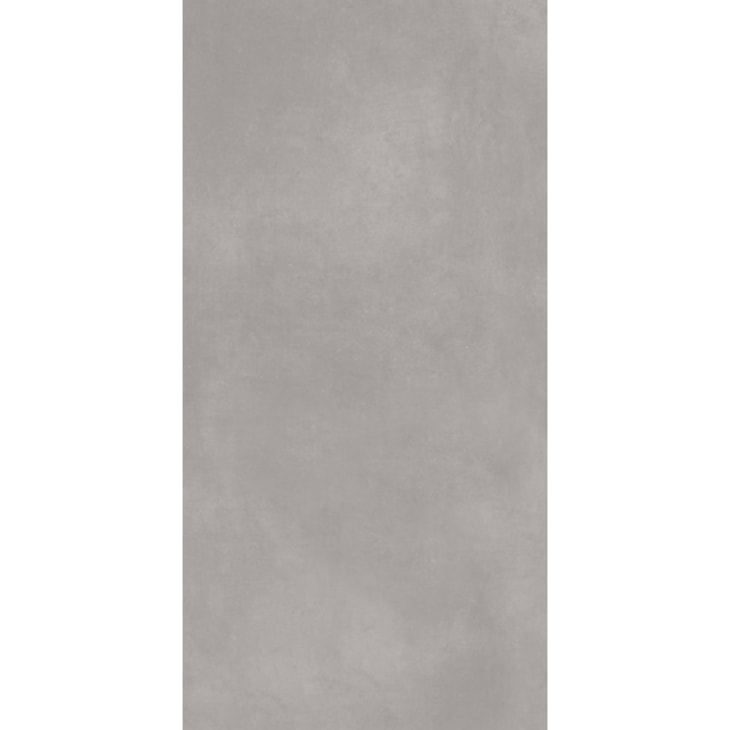 Porcelanato  Eliane  Munari Concreto Acetinado 60X120Cm Retificado