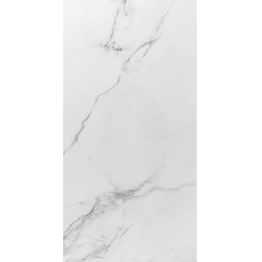 Porcelanato Eliane Place Polido 60x120cm Retificado - Imagem principal - 612405c6-343d-4427-b850-ef254c7a6066