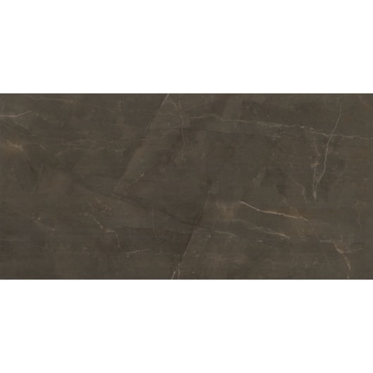 Porcelanato Eliane Pulpis Brown Polido 60x120cm Retificado - Imagem principal - 1b89c5a8-078a-41d8-bf4c-608ec8b3a4a3