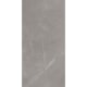 Porcelanato Eliane Pulpis Gray Acetinado 60x120cm Retificado - d1eba565-d774-4352-bd06-d633f39082ea