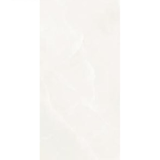 Porcelanato Eliane Sacara Gris Polido 60x120cm Retificado - Imagem principal - 000f7b18-0358-48e4-99a9-e9556605fb93
