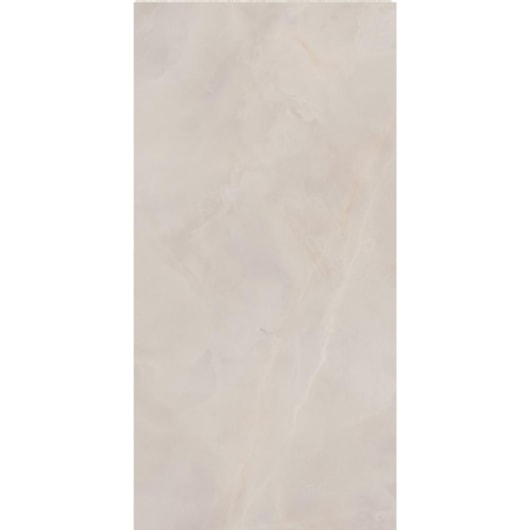 Porcelanato Eliane Sacara Gris Polido 60x120cm Retificado - Imagem principal - 4b413778-c3ab-4a5a-a1d3-83e6bfaa695f