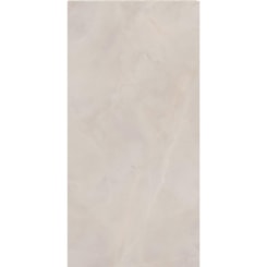 Porcelanato Eliane Sacara Gris Polido 60x120cm Retificado