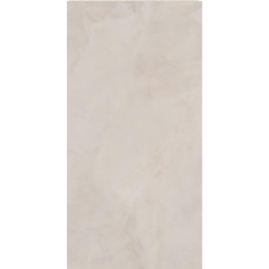 Porcelanato Eliane Sacara Gris Polido 60x120cm Retificado - Imagem principal - de53b386-9166-47ae-9bc1-5fc3f199c518