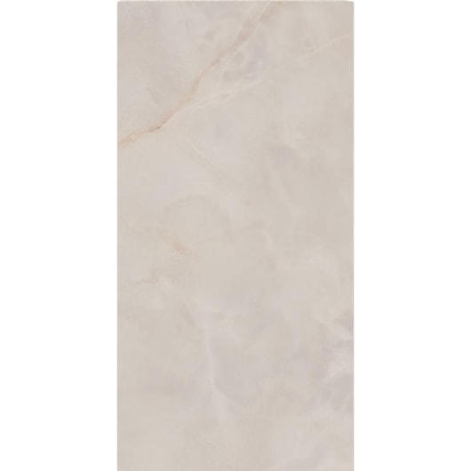 Porcelanato Eliane Sacara Gris Polido 60x120cm Retificado - Imagem principal - be6d20fa-ea78-42c6-8da9-652088bb3dd5