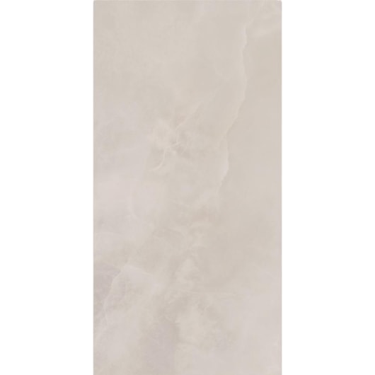 Porcelanato Eliane Sacara Gris Polido 60x120cm Retificado - Imagem principal - 8023c236-56cc-4643-a3de-eab5f6aa5c07