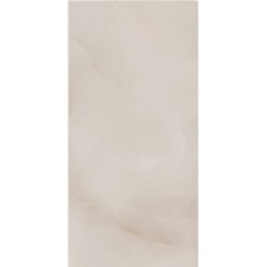 Porcelanato Eliane Sacara Gris Polido 60x120cm Retificado