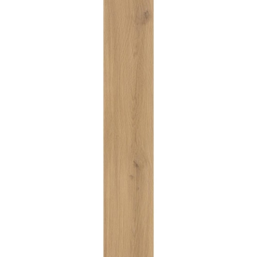 Porcelanato Eliane Savona Peroba 3d Externo 19,7x120cm Retificado - Imagem principal - 6b869e8e-16a7-41d6-a5d8-b763b86e9b8a