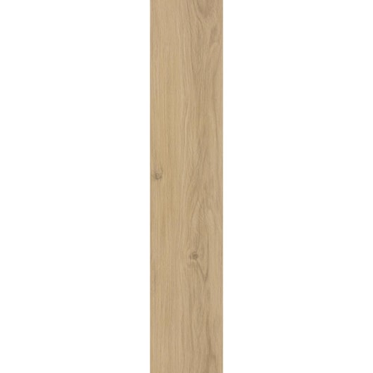 Porcelanato Eliane Savona Pinoli 3d Externo 19,7x120cm Retificado - Imagem principal - 8a7ee735-0e0f-4be4-9225-901ed2891b07