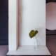 Porcelanato Eliane Tibre Brut Acetinado 120x120cm Retificado - db06a0a4-1b5c-45b6-b405-925b1ee4d594