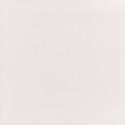 Porcelanato Elizabeth Bianco Master Tecn Polido 80x80cm Retificado