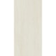 Porcelanato Elizabeth Ouro Clássico Acetinado 60x120cm Retificado - 5e8d4d18-dcdb-4b5e-a890-72a7aa436e48
