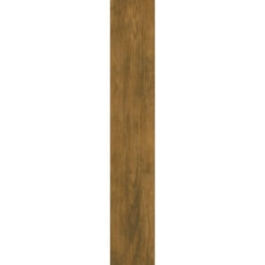 Porcelanato Embramaco Ébano 120049 20x122cm Retificado