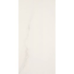Porcelanato Esmaltado 60x120cm Retificado Michelangelo Polido Cl/re/fa Portobello