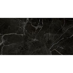 Porcelanato Esmaltado 60x120cm Retificado Venato Black Polido Roca